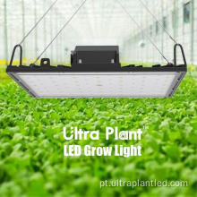 Tudo vermelho escuro 660nm LED Grow Light